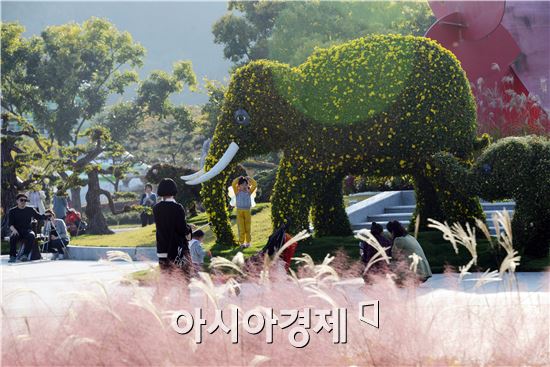 [포토]함평국화축제장으로 대형 국화 코끼리 보러오세요