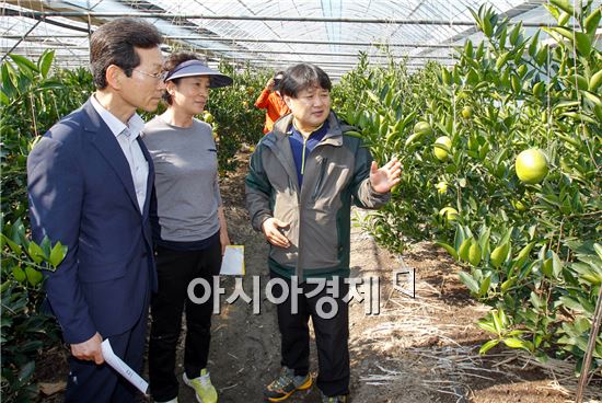 광양시 임영주 부시장, 봉강면 천애향·키위 농가 현장 방문