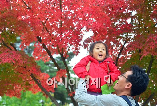 [포토]가을에 빠지다 
