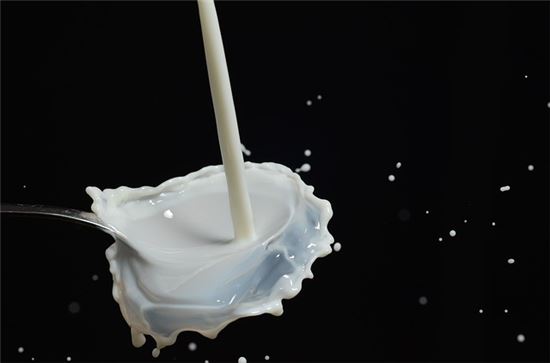 "중국인들 대기업 우유 불매…우유 마시러 '바(Bar)' 간다"