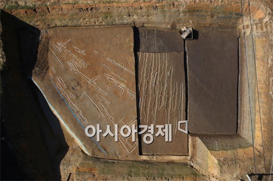 광주시 신창동유적 내 삼국시대 밭 경작지 등 확인