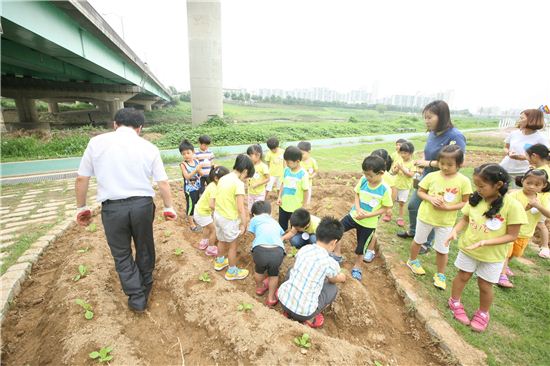 안양천 어린이 자연학습장 배추심기 체험 