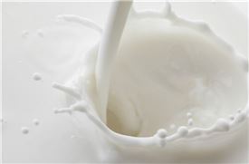 몸에 좋은 우유, '치매 예방에도 효과적' 연구결과