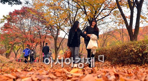 [포토]낙엽길 걷는 시민들