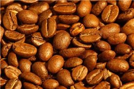 중국산 커피는 대부분 질좋은 아라비카 종이다. 사진은 볶은 아라비카 원두. (사진 출처 : 위키피디아)