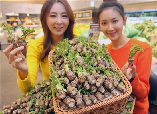 [포토]신세계百 "한 달 빨리 두릅 맛보세요"