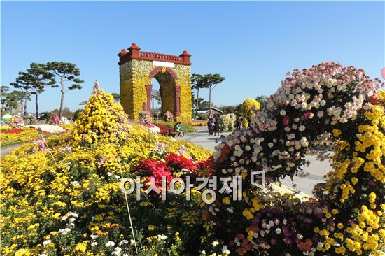 청명한 가을 하늘이 이어진 가운데 4일 전남 함평군 함평읍 함평엑스포공원 ‘2014 대한민국 국향대전’ 축제장에 국화꽃이 만개해 장관을 이루고 있다. 


‘국화향기 그윽한 풍요로운 함평천지!’를 주제로 열리는 이번 국향대전은 오는 11월9일까지 관광객 동선 주요 길목에 대형 국화작품과 기획 작품을 배치한 야외 전시, 수준 높은 국화 분재 작품을 관람할 수 있다.

