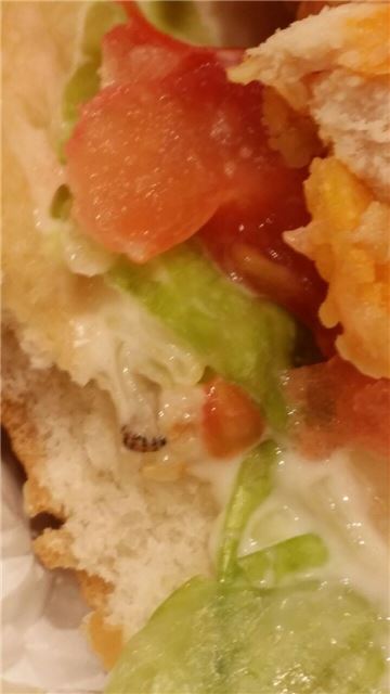 '맥도날드 애벌레 버거' 논란…세상에 이런일이