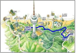 중구민 한가족 남산 단풍길 걷기대회