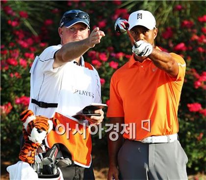 [골프토픽] '복싱' 메이웨더> '골프' 우즈 