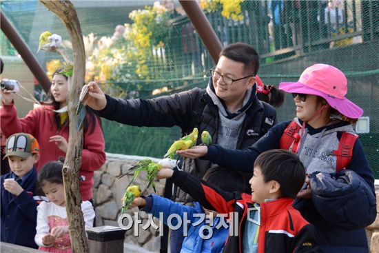 함평국향개전 마지막날인 9일 전국에서 수 많은 관광객들이 몰려 들어 사랑앵무에게 먹이를 주면서 가을정취를 만끽했다.노해섭 기자 nogary@