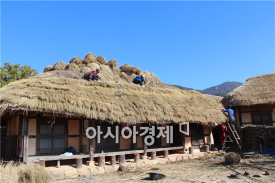 순천 낙안읍성에는 겨울을 준비하기 위한 초가지붕 이엉이기가 한창이다.
