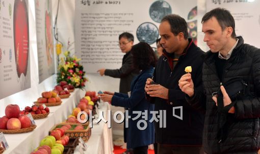[포토]청송 사과 구경하는 외국인들