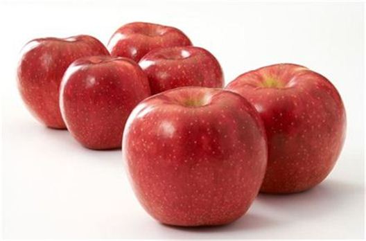 사과 보관법, 1~5℃로 최대 7일까지…"갈변 사과, 안녕"