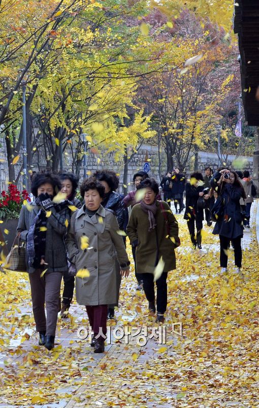 [포토]낙엽과 강풍