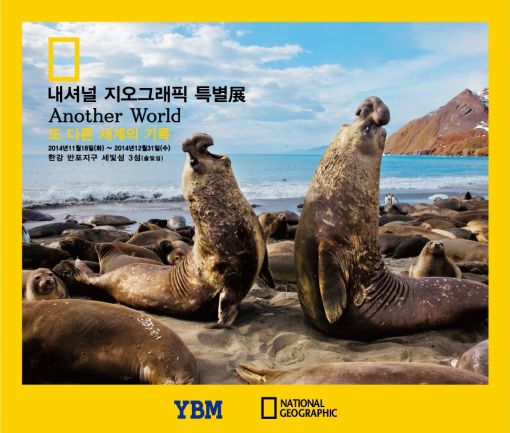 효성 세빛섬, 내셔널지오그래픽 사진전 개최