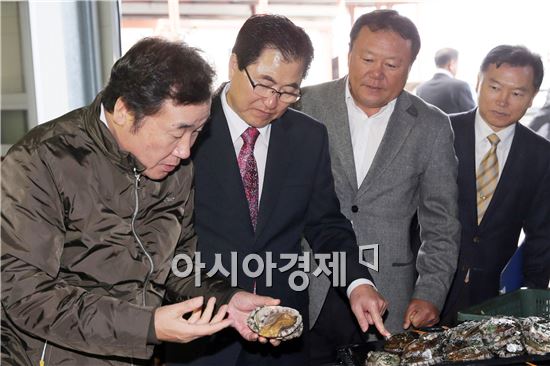 이낙연 전남도지사가 13일 오후 신우철 완도 군수와 함께 완도읍 전복종묘생산 양식장을 방문, 다 자란 전복을 살펴보고 있다.  사진제공=전남도