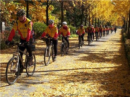 자전거 타고 가을 속으로…