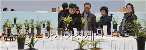 [포토]'전국의 명품, 희귀난이 한 자리에~'