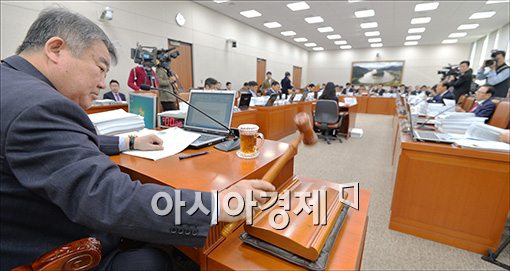 국회 농해수위, 여객선 선령 30년→25년 단축법 통과