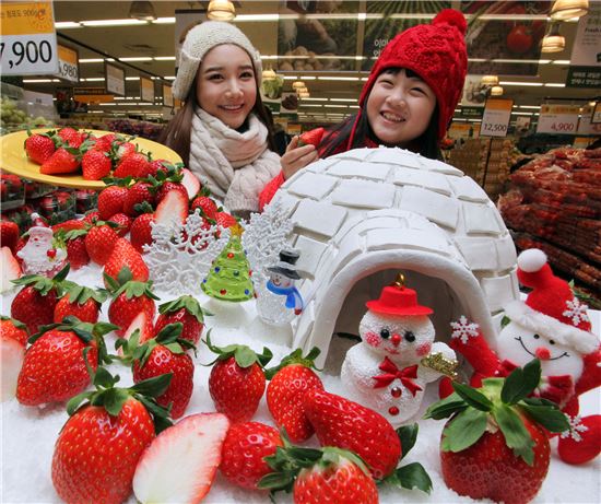 [포토]"제철 겨울딸기 맛보세요"