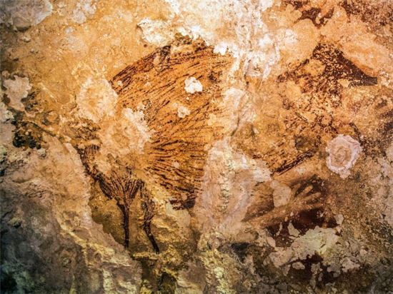 ▲인도네시아 동굴 벽화는 3만5000년 이상 된 것으로 나타났다.[사진제공=사이언스]