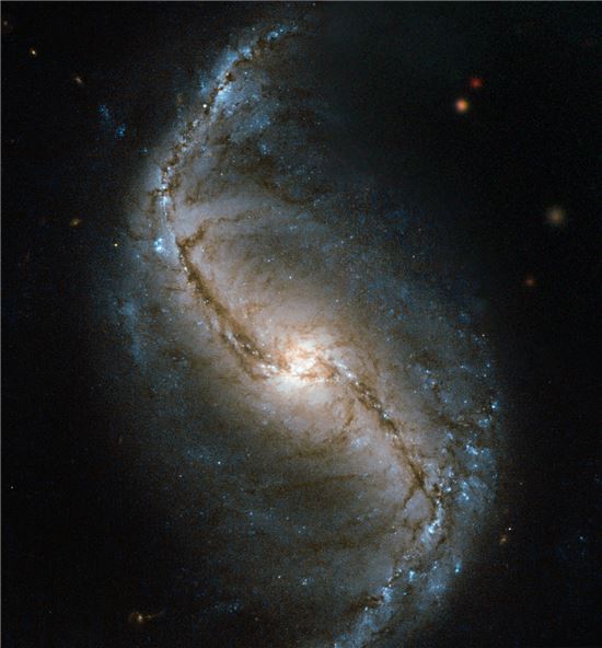 ▲허블이 촬영한 NGC 986 은하.[사진제공=NASA]