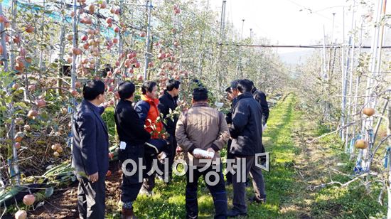 곡성군이 키틴미생물 활용 채소 과수 친환경재배기술 보급을 한다.