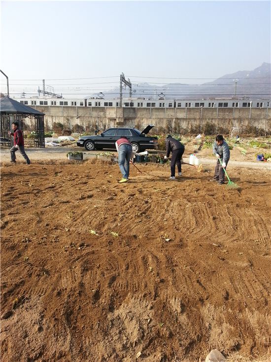 보리밟기와 유채꽃 추억 만들어요