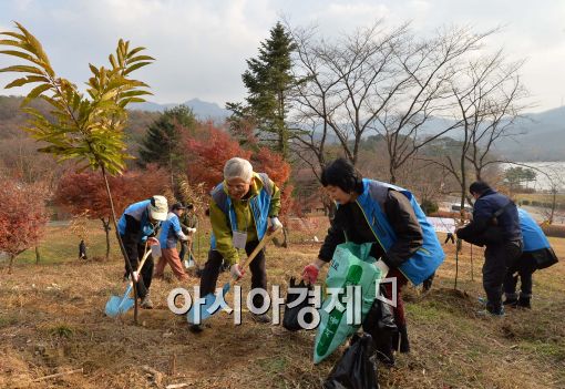 [포토]서울대공원, 동물들을 위한 먹이숲 조성