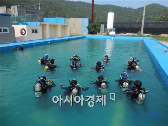 완도군, 지역맞춤형 일자리 경진대회 우수상 수상