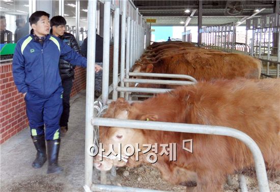 장흥군, 혈통한우 경매 및 송아지 릴레이 기증행사 개최
