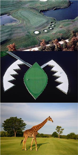 프랑스 마콘 라 살르와 미국 뉴저지 스톤하버, 남아프리카공화국 한스 머렌스키골프장(위에서부터).