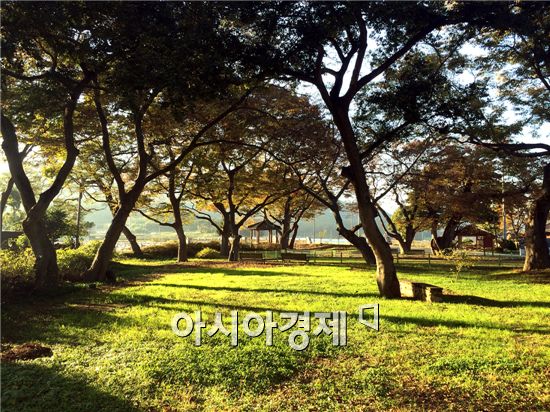 함평 ‘모평마을숲’ 전국 아름다운 숲 선정