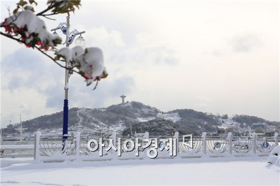 [포토]22㎝ 최고 적설량 보인 완도시가지 설경