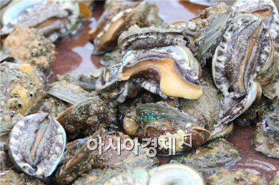 완도 최고특산품 전복