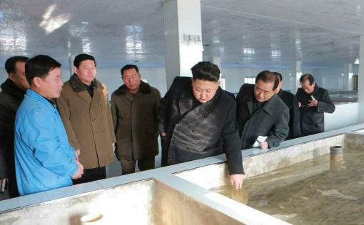 인권·해킹 압박에도 김정은 메기공장 방문 등  민생챙기기로 딴청