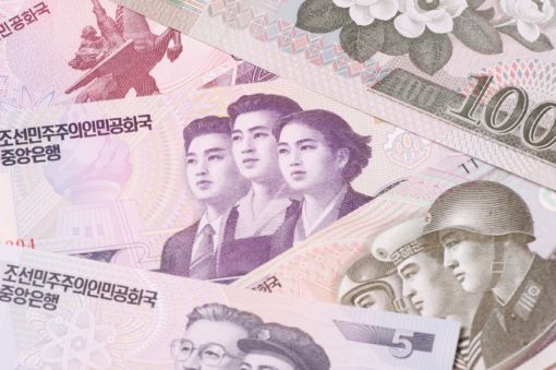 북한 사람들은 시장과 돈에 중독됐다.정부가 식량 등을 배급하지 않아 시장을 통해 모든 것을 해결한다.사진은 북한 지폐
