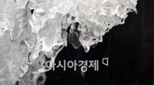 [포토]포근한 날씨 속 '한파' 녹다