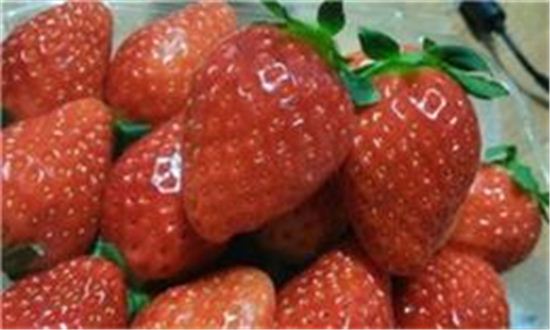 3월 제철음식, 딸기·쑥·꼬막…'입맛 되찾아 주는 음식들'