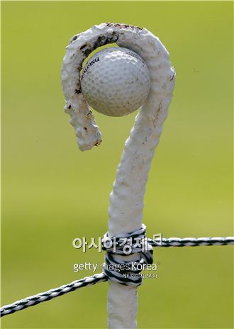 헌 공을 새 공처럼 재생하는 신기술이 등장해 화제를 모으고 있다. 사진=Getty images/멀티비츠 