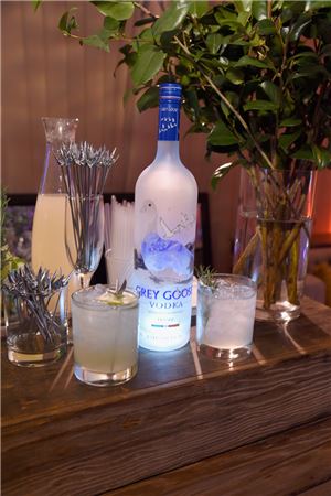 보드카 그레이 구스, 전 세계 영화인 사로 잡아