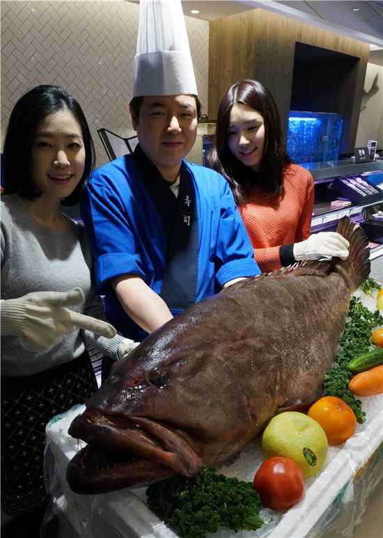 [포토]"제주도산 대물 다금바리 드세요"