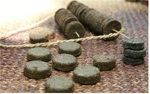 천 년 향기 품은 장흥 청태전, 항염증 효능 밝혀