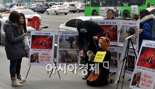 [포토]'모피 그만'