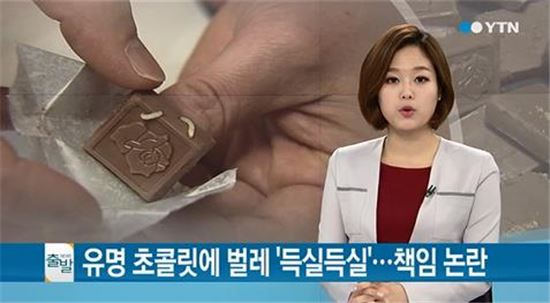 '벌레 초콜릿'…대기업 제조 초콜릿에서 흰색 벌레 우글우글… 충격