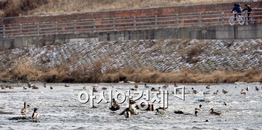 [포토]절기상 대한(大寒)....낮 부터 포근한 날씨