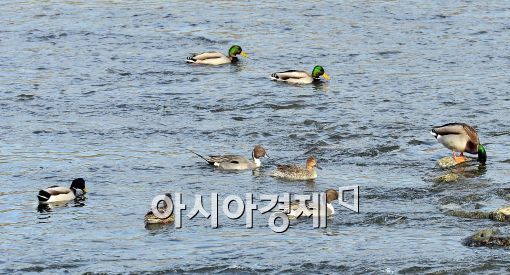 [포토]'대한(大寒)이지만 포근한 날씨'