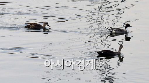 [포토]절기상 대한…'날씨는 포근'