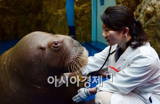 [포토]'선생님, 저 건강한가요?'